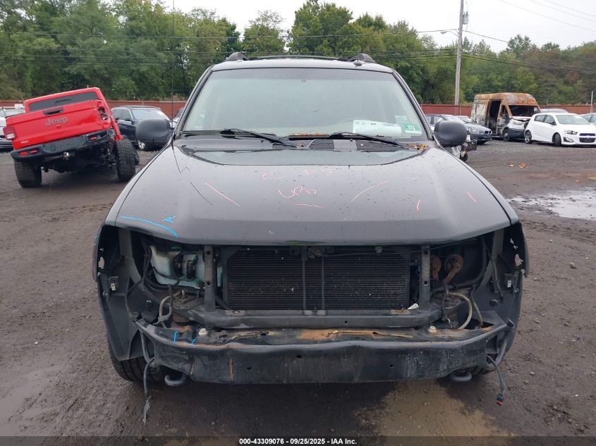 2004 Chevrolet Trailblazer Ext Ls VIN: 1GNET16S146104552 Lot: 43309076