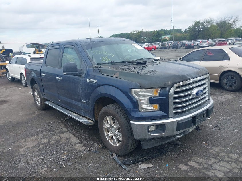 FORD F-150 XLT
