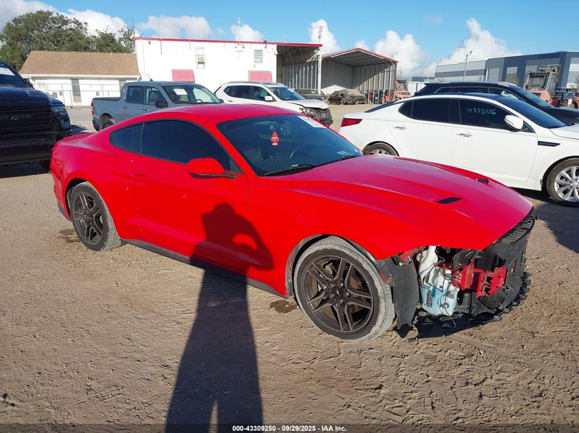 2019 FORD MUSTANG ECOBOOST - 1FA6P8THXK5184932