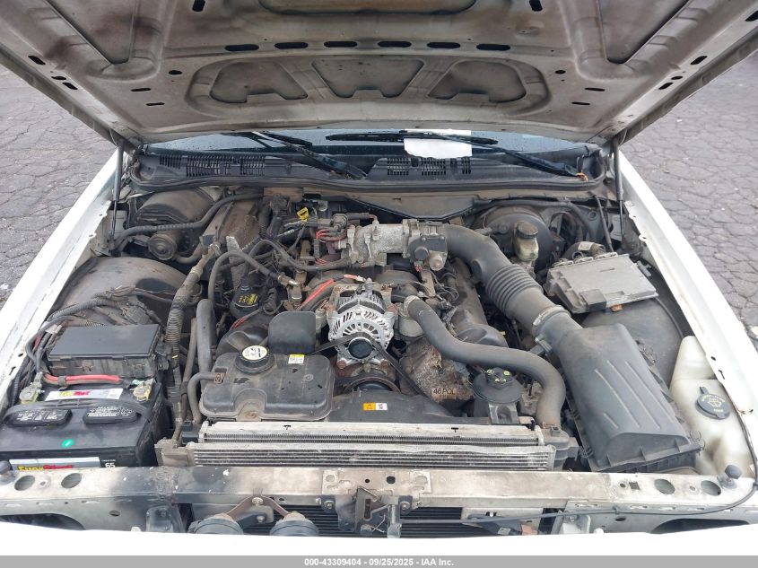 2007 Ford Crown Victoria Police/Police Interceptor/Pursuit VIN: 2FAFP71W77X131428 Lot: 43309404