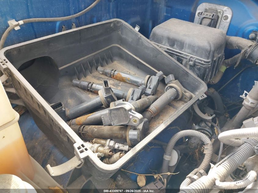 2007 Toyota Tundra Sr5 5.7L V8 VIN: 5TFBV54137X006631 Lot: 43309787