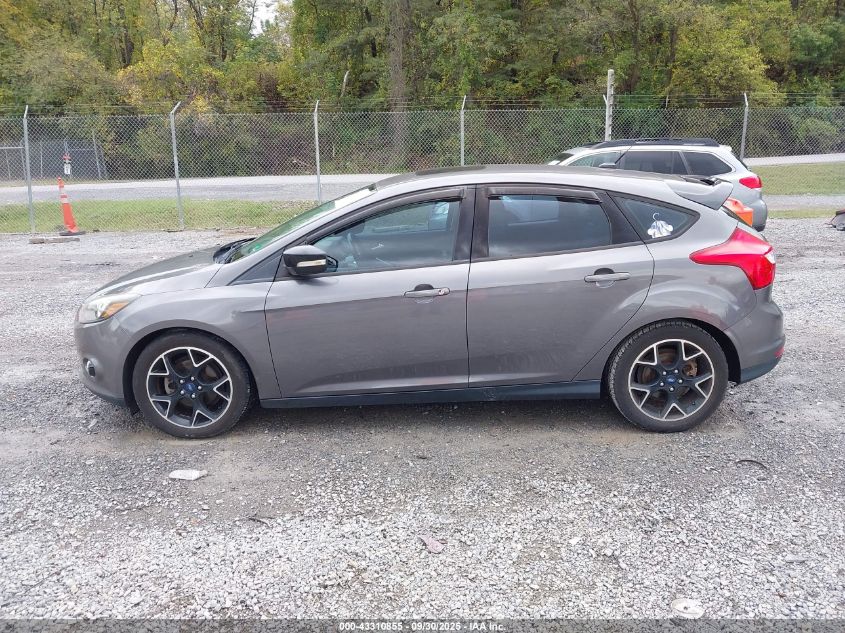 2013 Ford Focus Se VIN: 1FADP3K29DL181896 Lot: 43310855