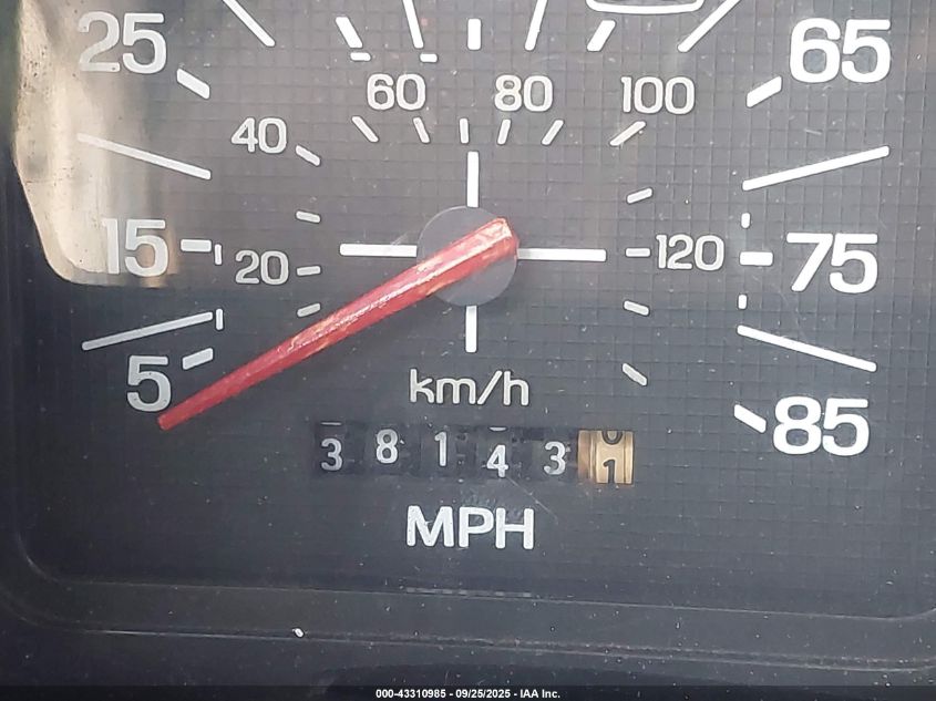 1982 Ford F150 VIN: 1FTDF15E6CNA64271 Lot: 43310985