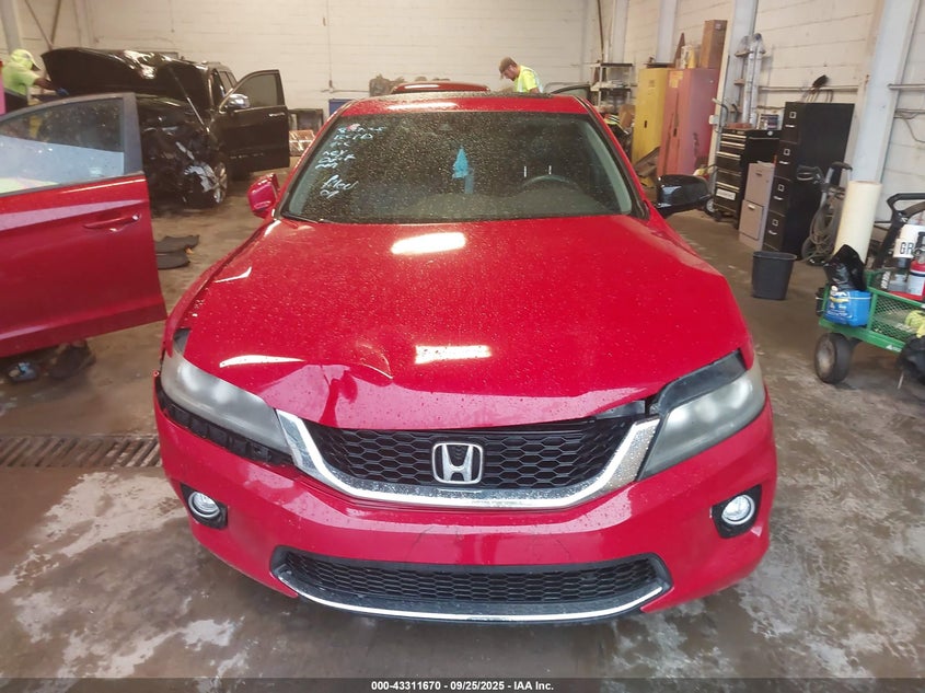 2014 HONDA ACCORD EX-L - 1HGCT1B83EA007332