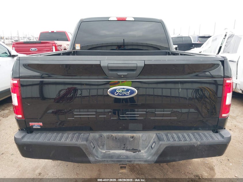 2019 Ford F-150 Xl VIN: 1FTEW1E53KKE34368 Lot: 43312829