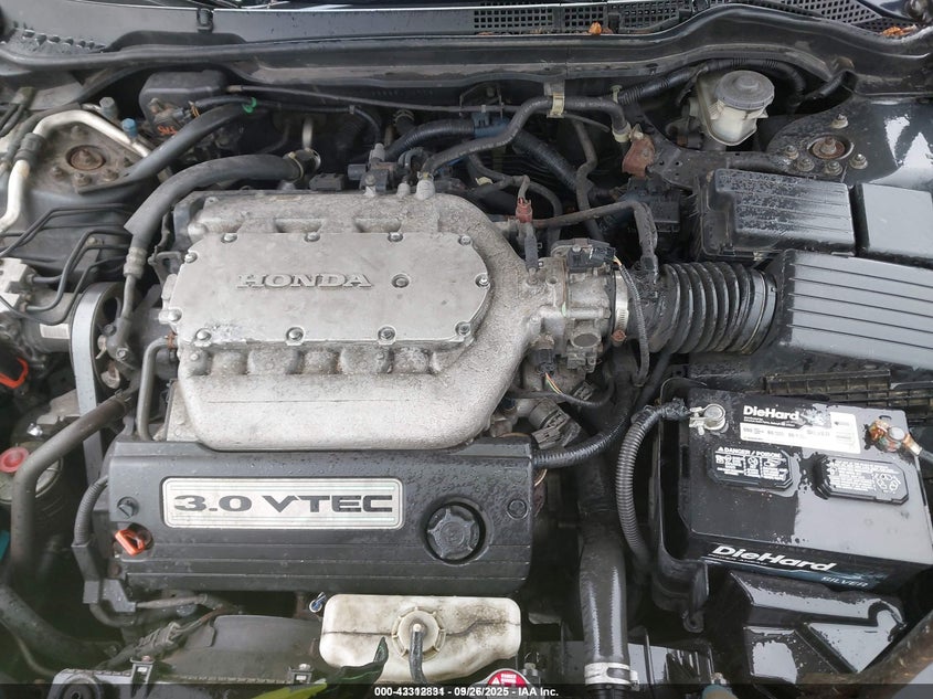 2005 Honda Accord 3.0 Ex VIN: 1HGCM66585A007031 Lot: 43312831