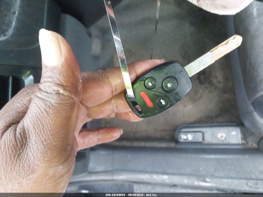 2005 Honda Accord 3.0 Ex VIN: 1HGCM66585A007031 Lot: 43312831