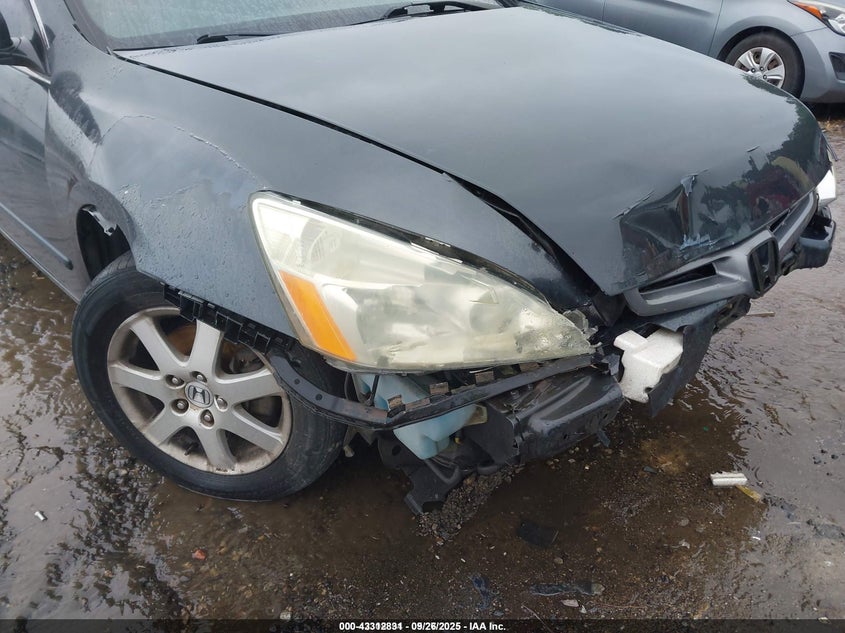 2005 Honda Accord 3.0 Ex VIN: 1HGCM66585A007031 Lot: 43312831