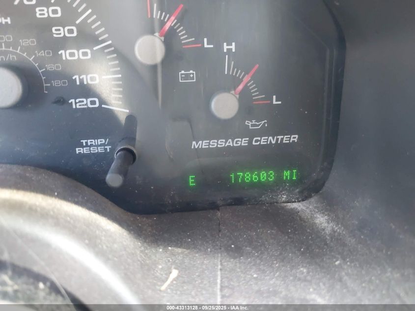 2004 Ford Expedition Eddie Bauer VIN: 1FMPU18L44LB76993 Lot: 43313128