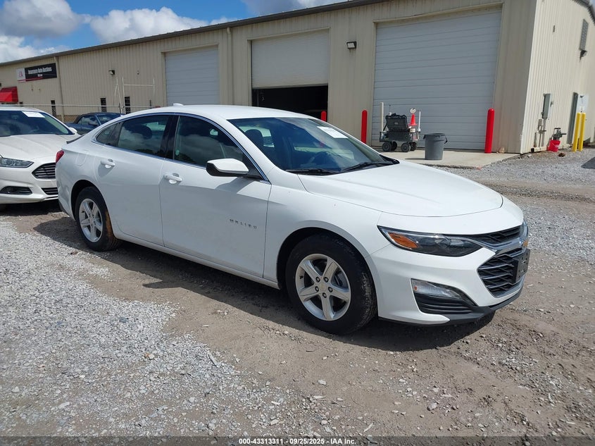 2024 CHEVROLET MALIBU FWD 1LT - 1G1ZD5ST0RF176999
