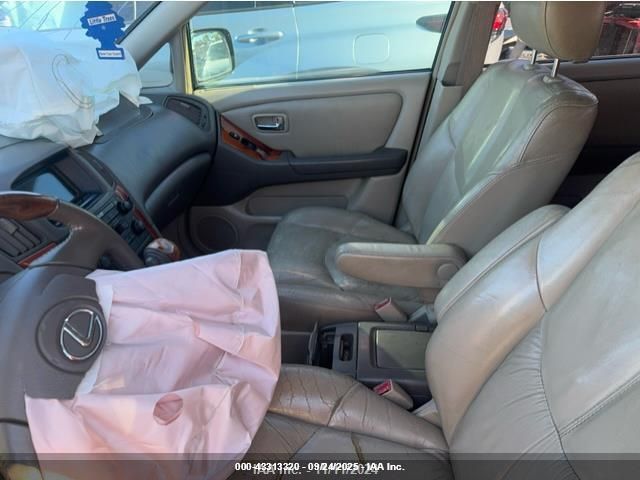 2002 Lexus Rx 300 VIN: JTJHF10U020237226 Lot: 43313320