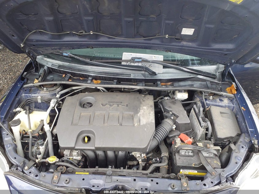 2013 TOYOTA COROLLA LE - 2T1BU4EE8DC071998