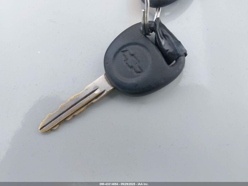 2004 Chevrolet Silverado 1500 Ls VIN: 2GCEC13T641418209 Lot: 43314054