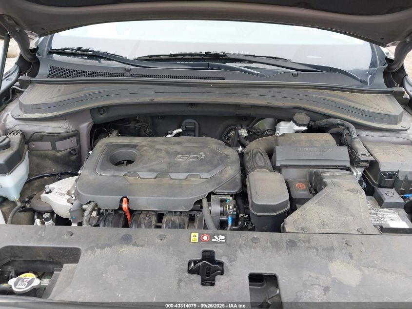 2020 Hyundai Santa Fe Sel VIN: 5NMS33AD8LH191299 Lot: 43314079