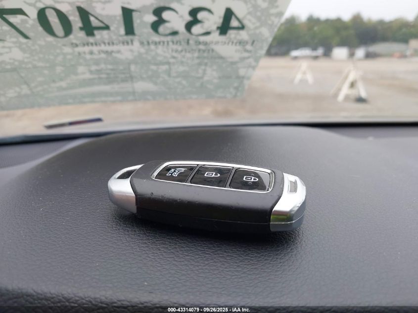 2020 Hyundai Santa Fe Sel VIN: 5NMS33AD8LH191299 Lot: 43314079