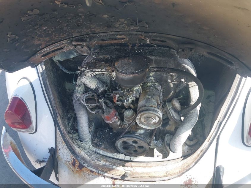 1969 Volkswagen Beetle VIN: 119015009 Lot: 43314120