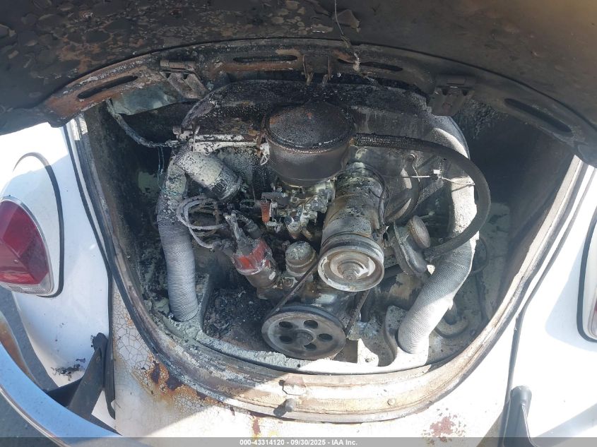 1969 Volkswagen Beetle VIN: 119015009 Lot: 43314120