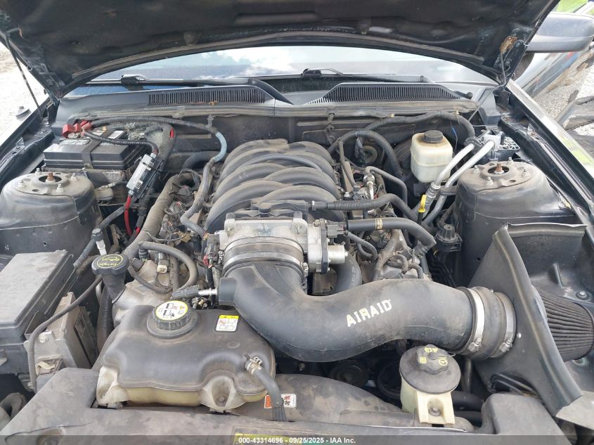 2007 Ford Mustang Gt Deluxe/Gt Premium VIN: 1ZVHT82H675250977 Lot: 43314696