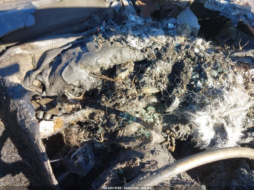 1991 Chevrolet Corvette VIN: 1G1YY2388M5116685 Lot: 43314729