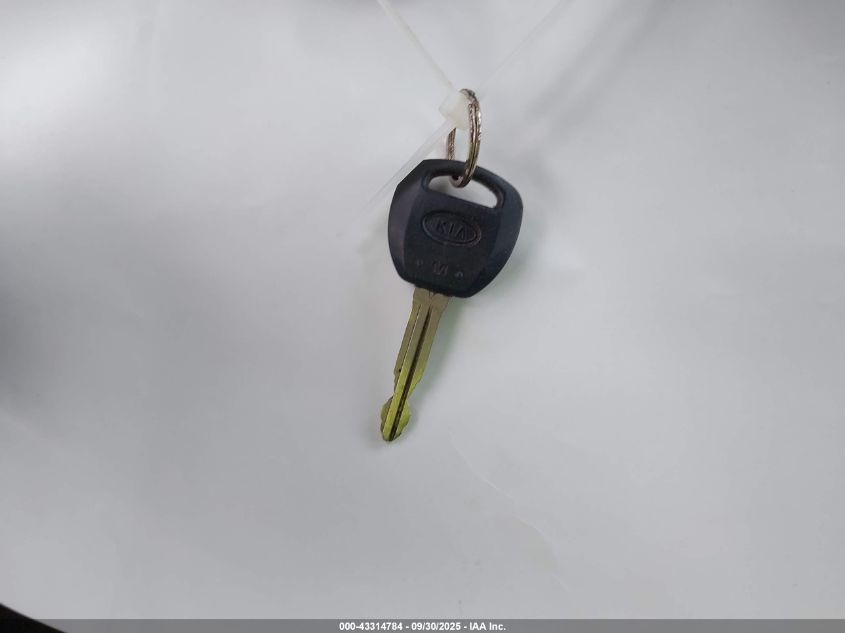 2007 Kia Sedona Ex VIN: KNDMB233176167441 Lot: 43314784