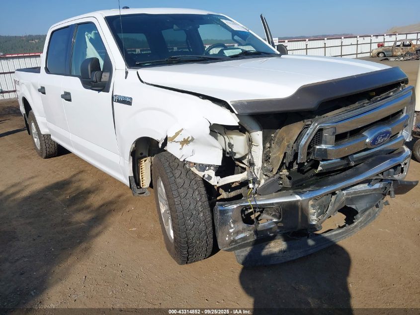 2015 Ford F150 Supercrew VIN: 1FTFW1EFXFKD38594 Lot: 43314852