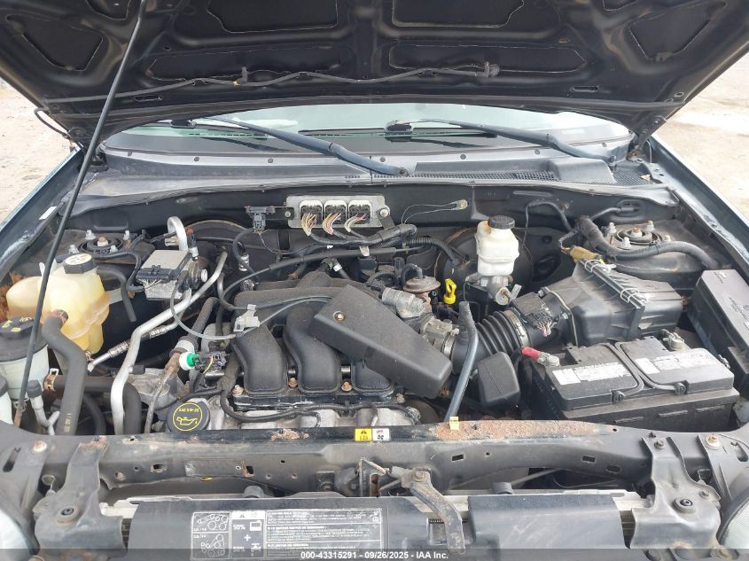 2007 Ford Escape Xlt/Xlt Sport VIN: 1FMCU93187KA84282 Lot: 43315291