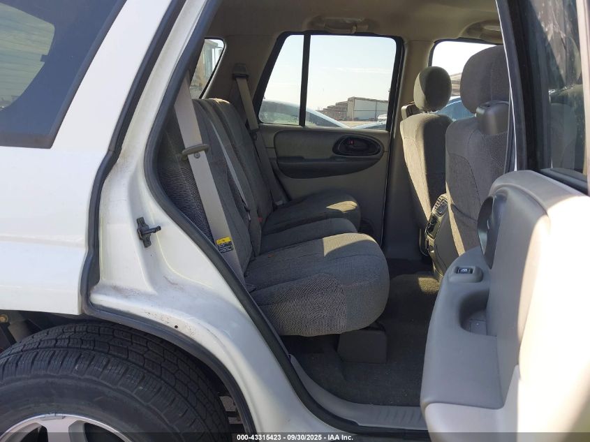 2003 Chevrolet Trailblazer Ls VIN: 1GNDS13S132414905 Lot: 43315423
