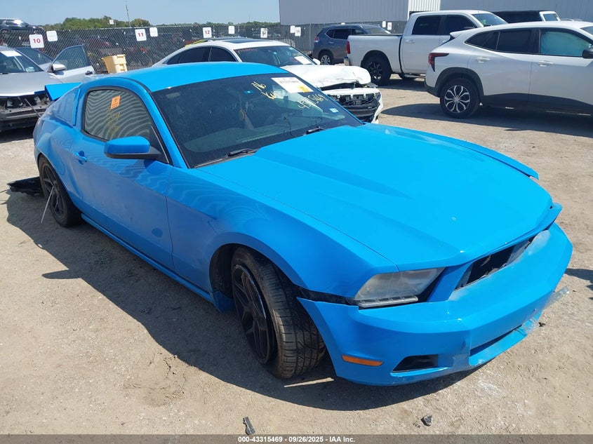 FORD MUSTANG V6