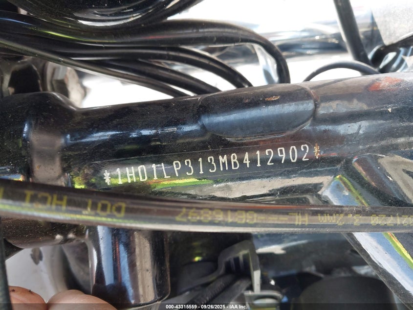 2021 Harley-Davidson Xl1200 Ns VIN: 1HD1LP313MB412902 Lot: 43315559