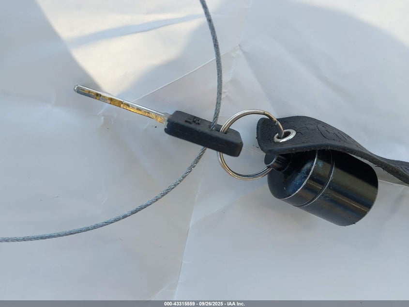 2021 Harley-Davidson Xl1200 Ns VIN: 1HD1LP313MB412902 Lot: 43315559