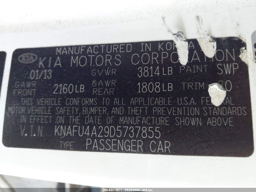 2013 Kia Forte Ex VIN: KNAFU4A29D5737855 Lot: 43315971