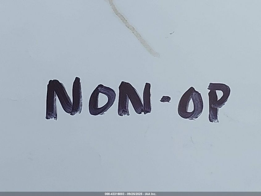 2013 Nissan Xterra X VIN: 5N1AN0NU8DN815939 Lot: 43316003