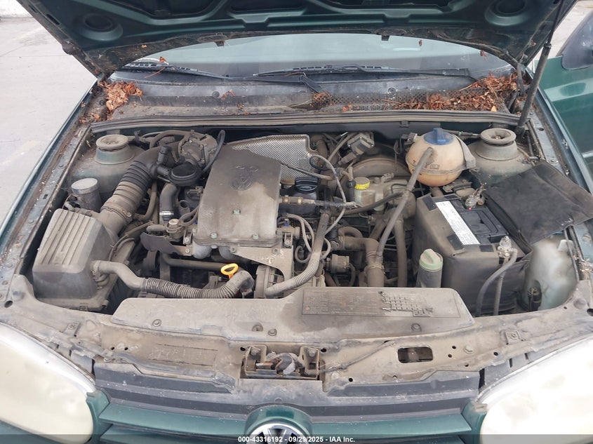 VOLKSWAGEN CABRIO 2001 3VWCC21V81M807369 Photo 10