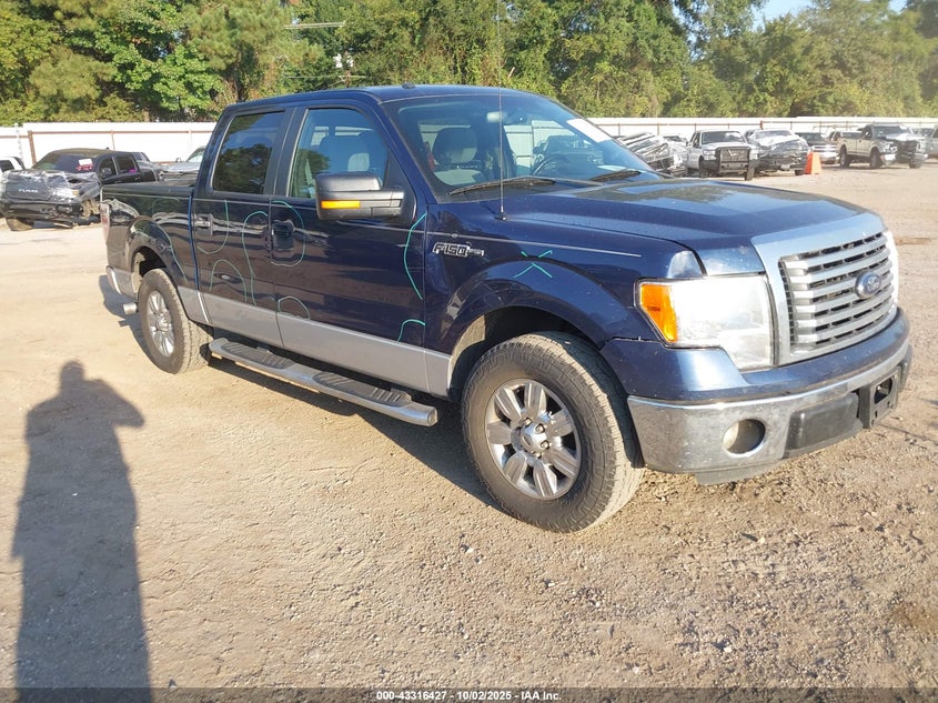 FORD F-150 XLT