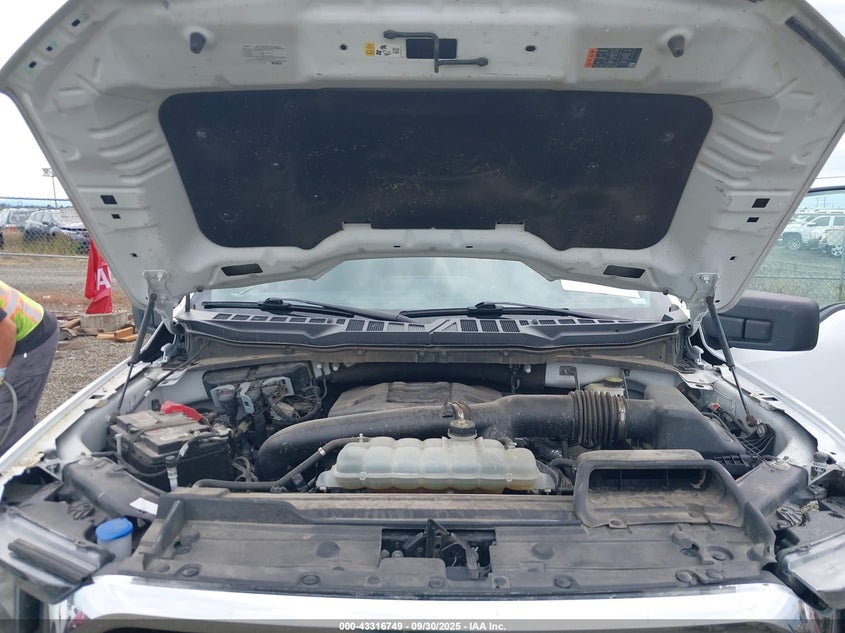 2023 FORD F-150 XLT 1FTEW1C84PKD69616