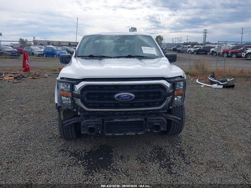 2023 FORD F-150 XLT 1FTEW1C84PKD69616