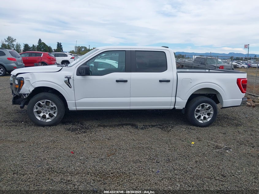 2023 FORD F-150 XLT 1FTEW1C84PKD69616