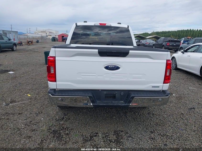 2023 FORD F-150 XLT 1FTEW1C84PKD69616