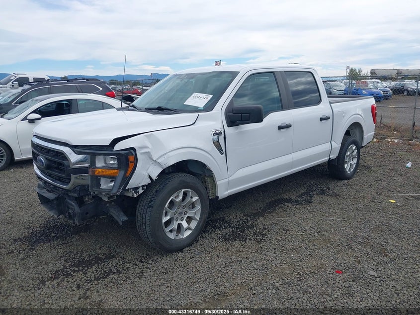 2023 FORD F-150 XLT 1FTEW1C84PKD69616