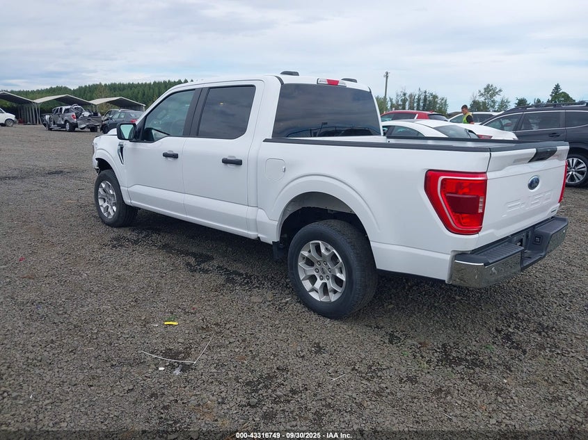 2023 FORD F-150 XLT 1FTEW1C84PKD69616