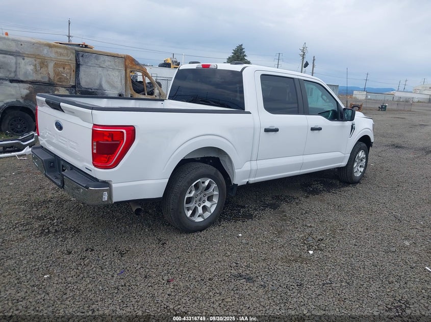 2023 FORD F-150 XLT 1FTEW1C84PKD69616