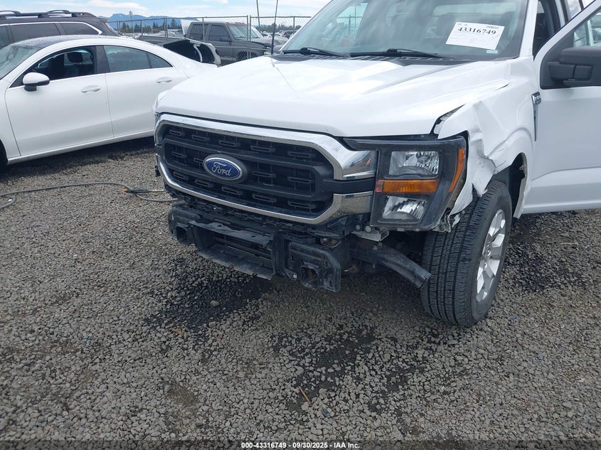 2023 FORD F-150 XLT 1FTEW1C84PKD69616