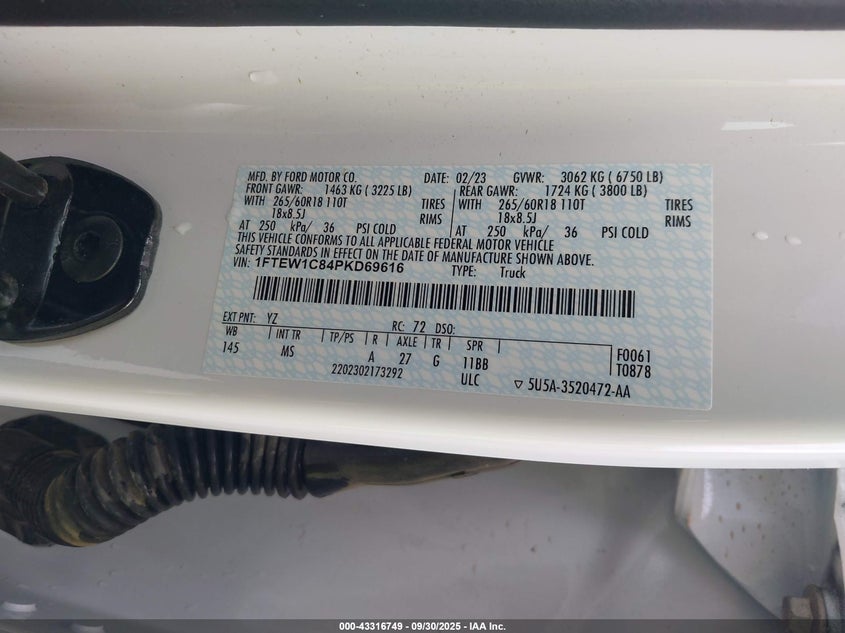 2023 FORD F-150 XLT 1FTEW1C84PKD69616