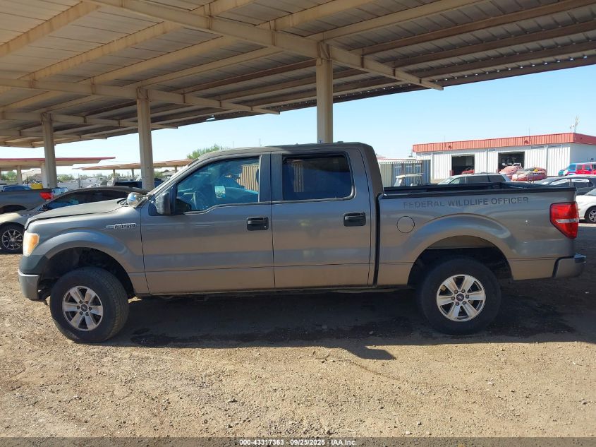 2013 Ford F-150 Xl VIN: 1FTFW1EF9DKG54999 Lot: 43317363