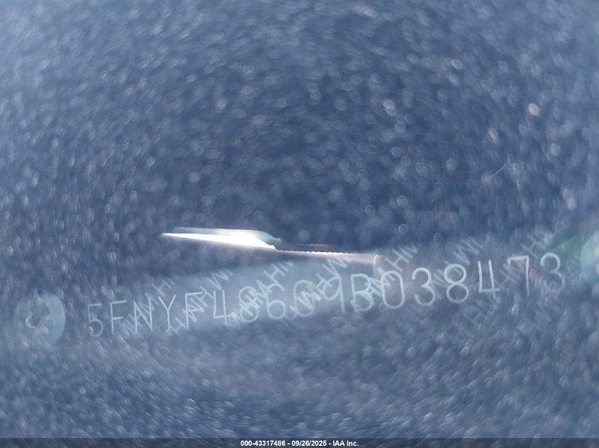 2009 Honda Pilot Ex-L VIN: 5FNYF48609B038473 Lot: 43317486