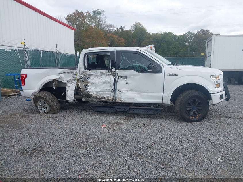 2017 FORD F-150 XLT 1FTEW1EF5HFA83439