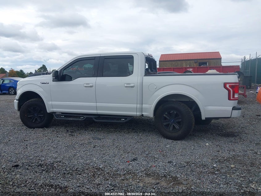 2017 FORD F-150 XLT 1FTEW1EF5HFA83439