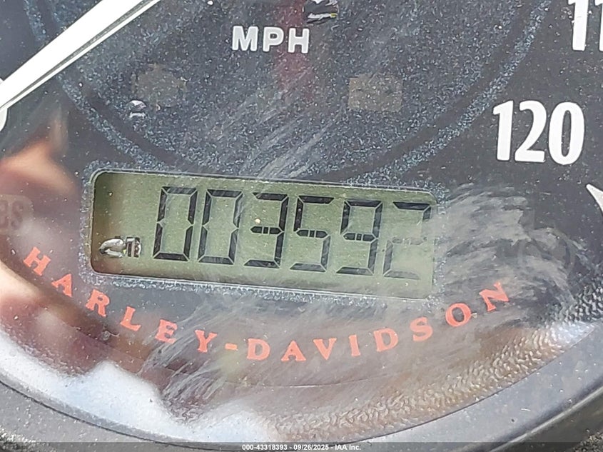 2021 Harley-Davidson Xl883 N VIN: 1HD4LE211MB405806 Lot: 43318393