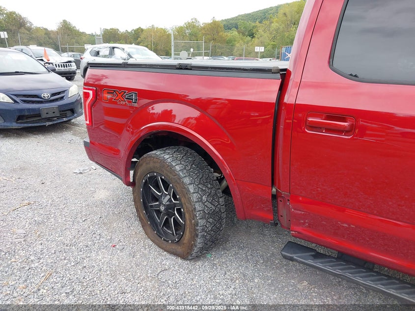 2016 FORD F-150 XLT - 1FTEW1EF1GKF93762