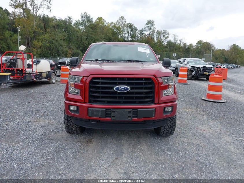 2016 FORD F-150 XLT - 1FTEW1EF1GKF93762